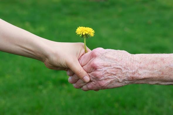 HomeCareServices