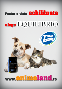 Hrana caini Equilibrio
