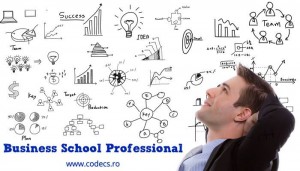 Business School Professional