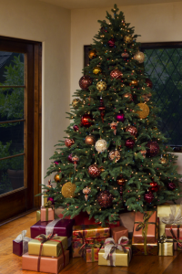 gallery-1470688664-balsam-fir