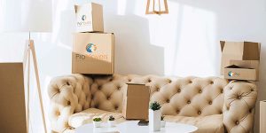Pro Movers - Transport mobila